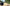ARK Survival Evolved Klar.gg Mod Menu Showcase Features